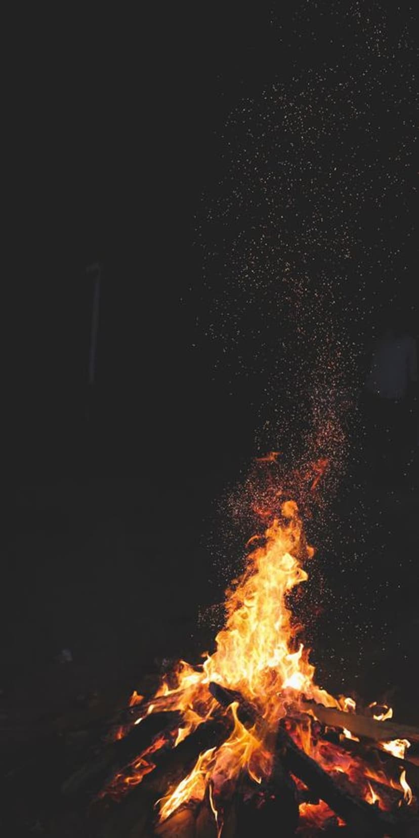 Burning orange bonfire flames and swirling golden sparks rise against a solid black night background.