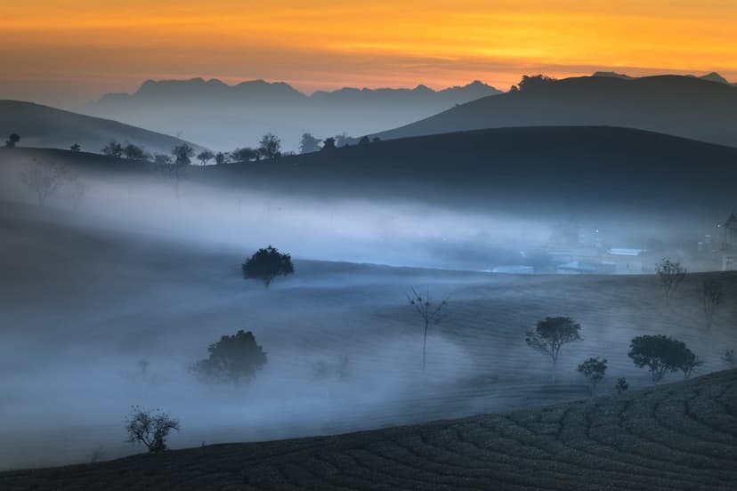 Orange sunrise light glows over misty green hills and tea plantation terraces with silhouetted distant mountains.