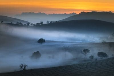 Misty Sunrise Over Rolling Hills and Tea Plantations