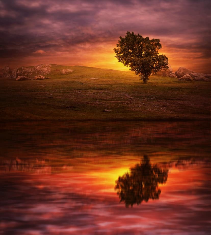 Solitary tree on a rocky hill reflected in a calm lake under a vibrant orange and purple sunset sky.