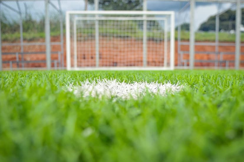 Green artificial turf blades in the foreground with a white boundary line and a blurred soccer goal in the distance.