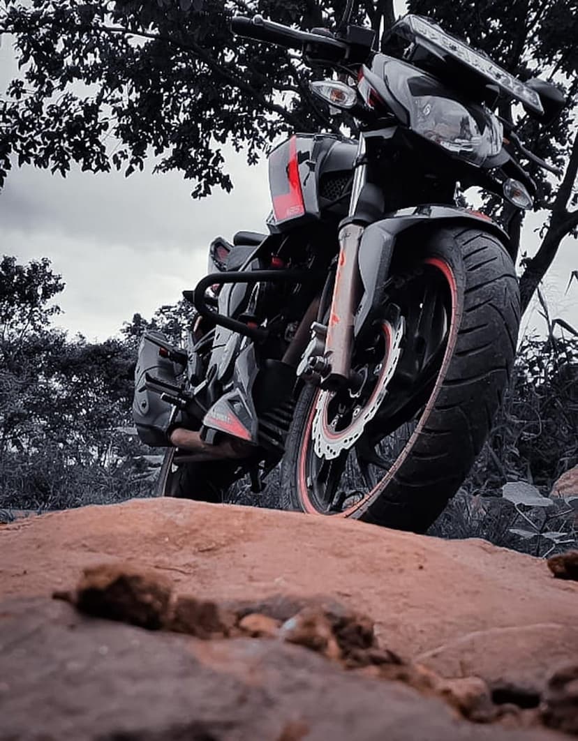 Red and black motorcycle parked on uneven gray rocks with dark green tree foliage in a moody forest setting.