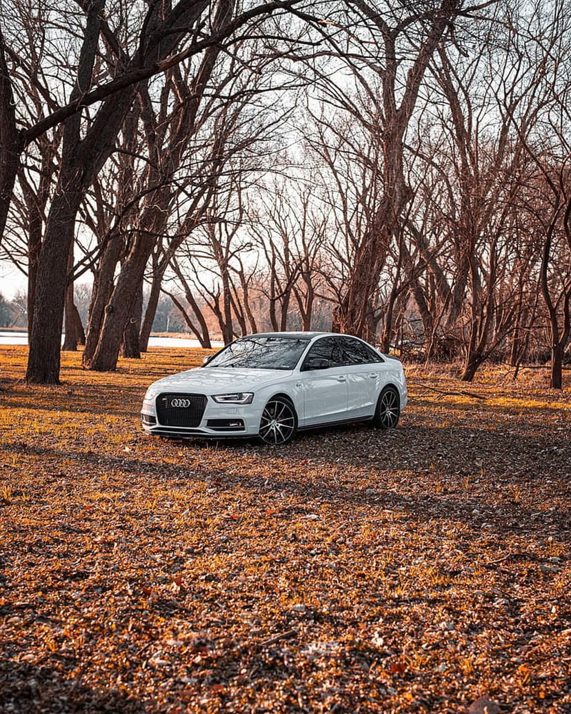 White Audi sedan parked on golden fallen leaves in a sunlit autumn forest with bare deciduous trees.