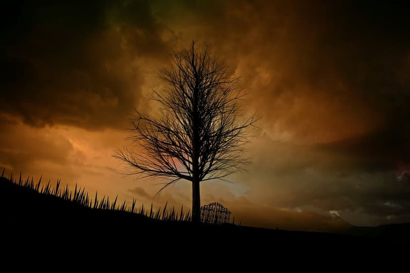 Leafless tree silhouette on a hill against swirling orange and grey storm clouds with a small metal gate.