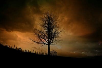 Ominous Storm Clouds Over Bare Tree Silhouette Wallpaper