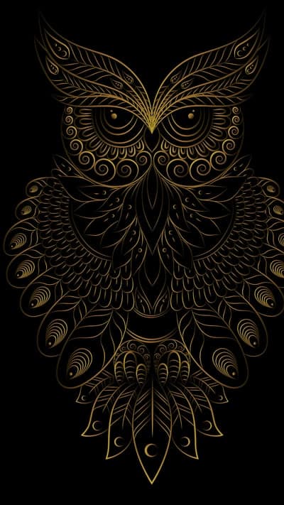 Majestic Gold Mandala Owl Portrait Phone Background