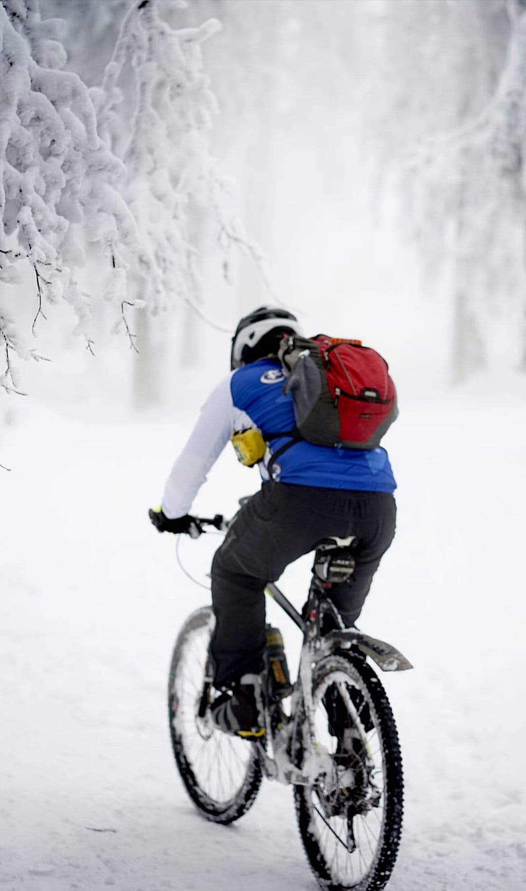Mountain biker in a helmet riding through a dense, snow-covered forest during a cold winter day on a narrow trail.