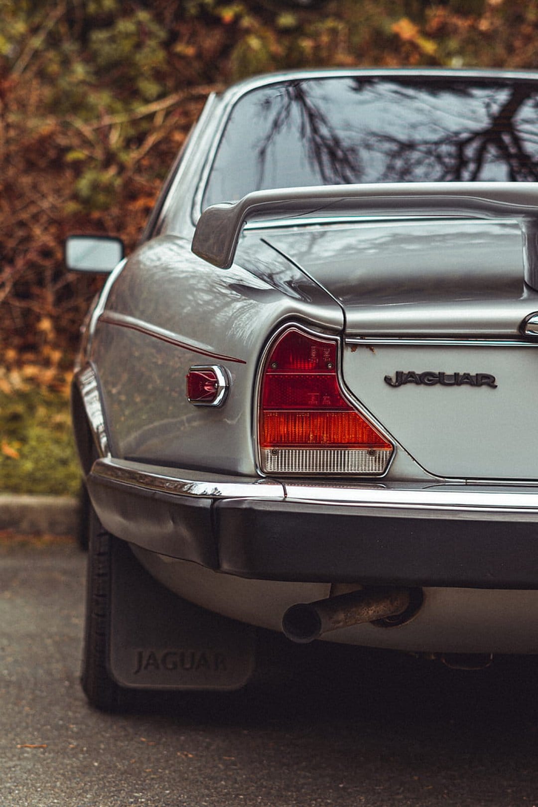 Silver Jaguar sedan rear view with a chrome bumper, red taillight, and subtle spoiler against autumn trees.