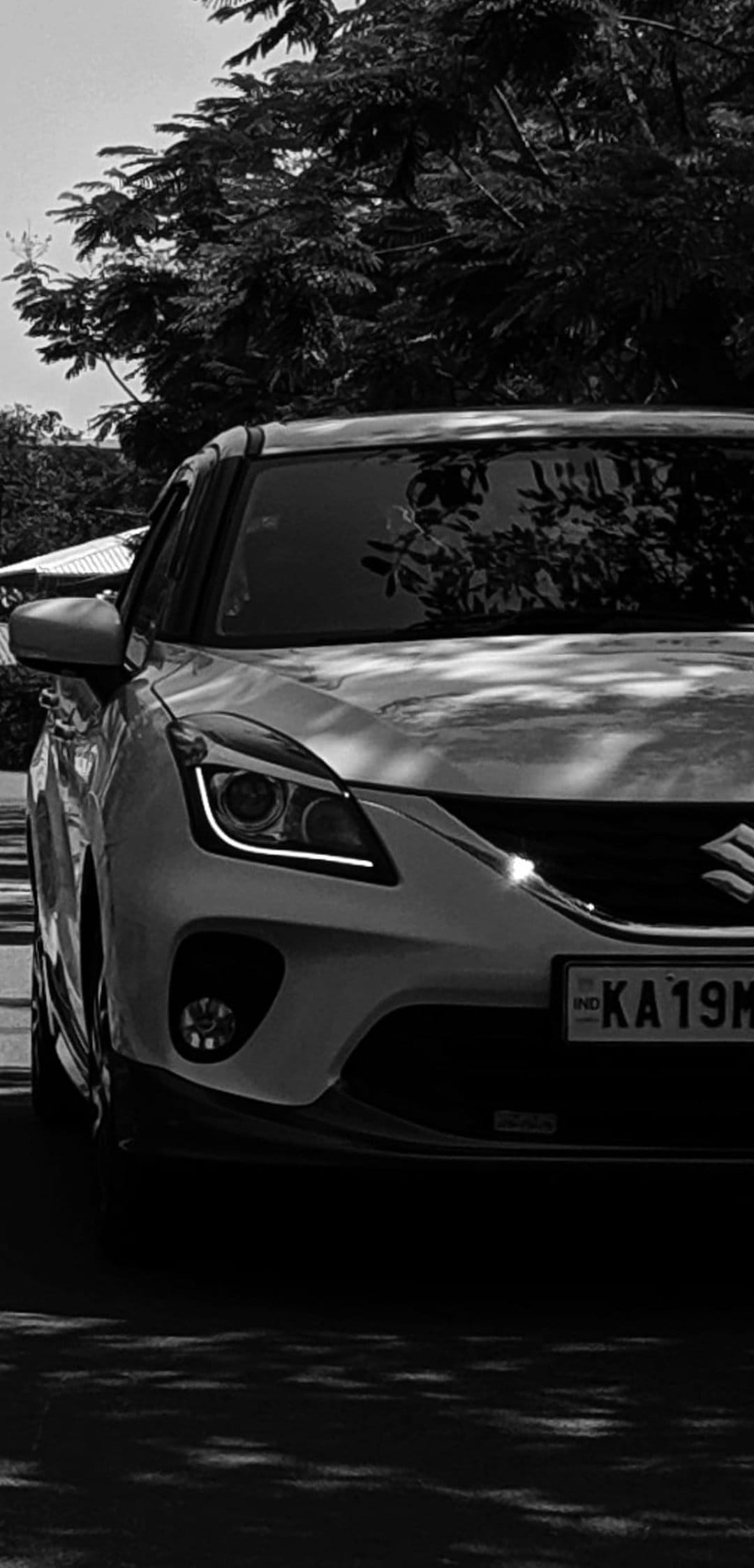 Suzuki Baleno car front featuring a detailed grille and headlights under dappled sunlight in monochrome.