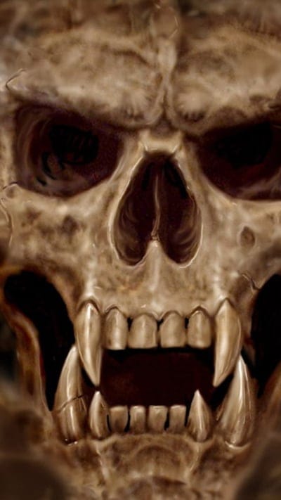 Skull of the vampire,art,scary,vampire,skull
