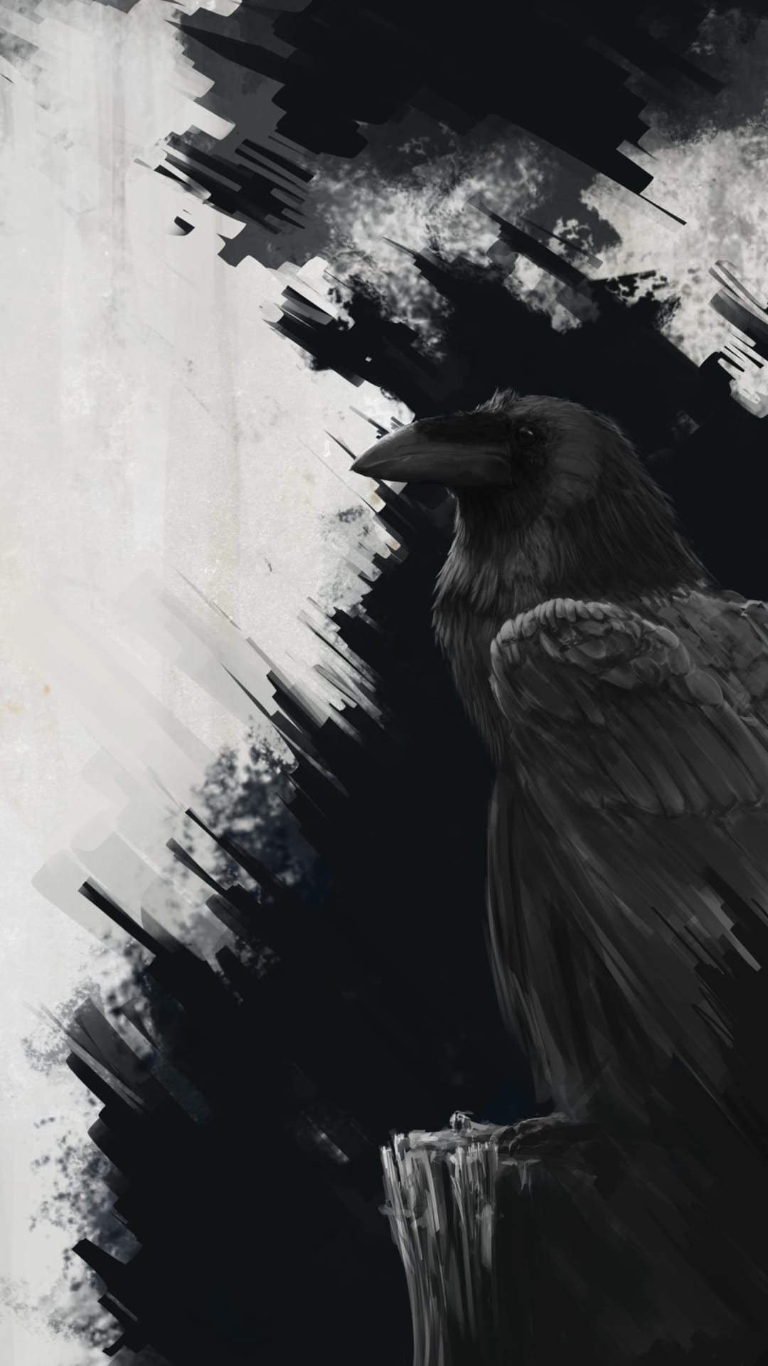 Raven perched on a rough wooden branch with black and white feathers and sharp beak against an abstract background.