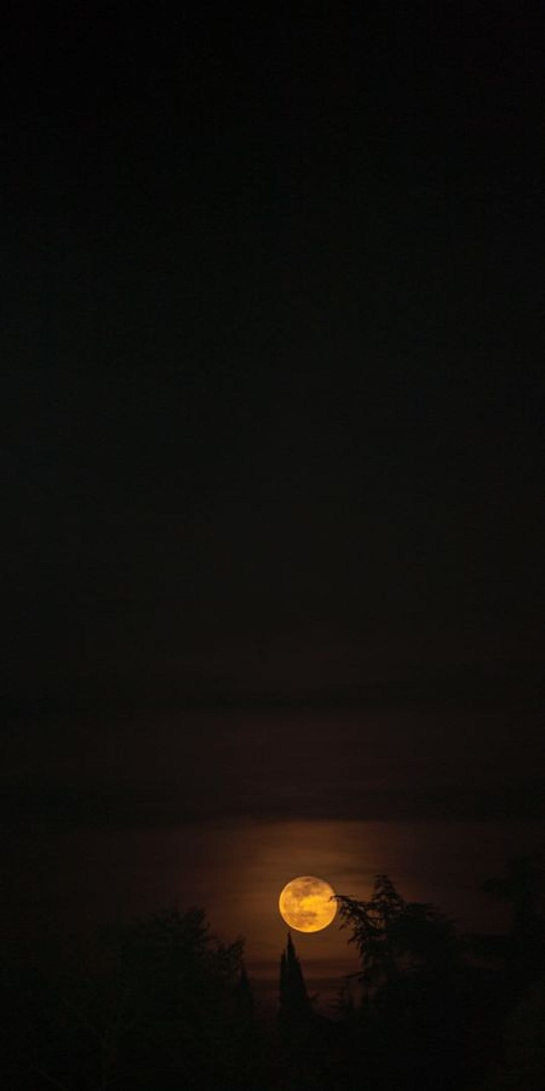 Luminous golden moon rests behind dark tree silhouettes against a hazy indigo and amber twilight sky.