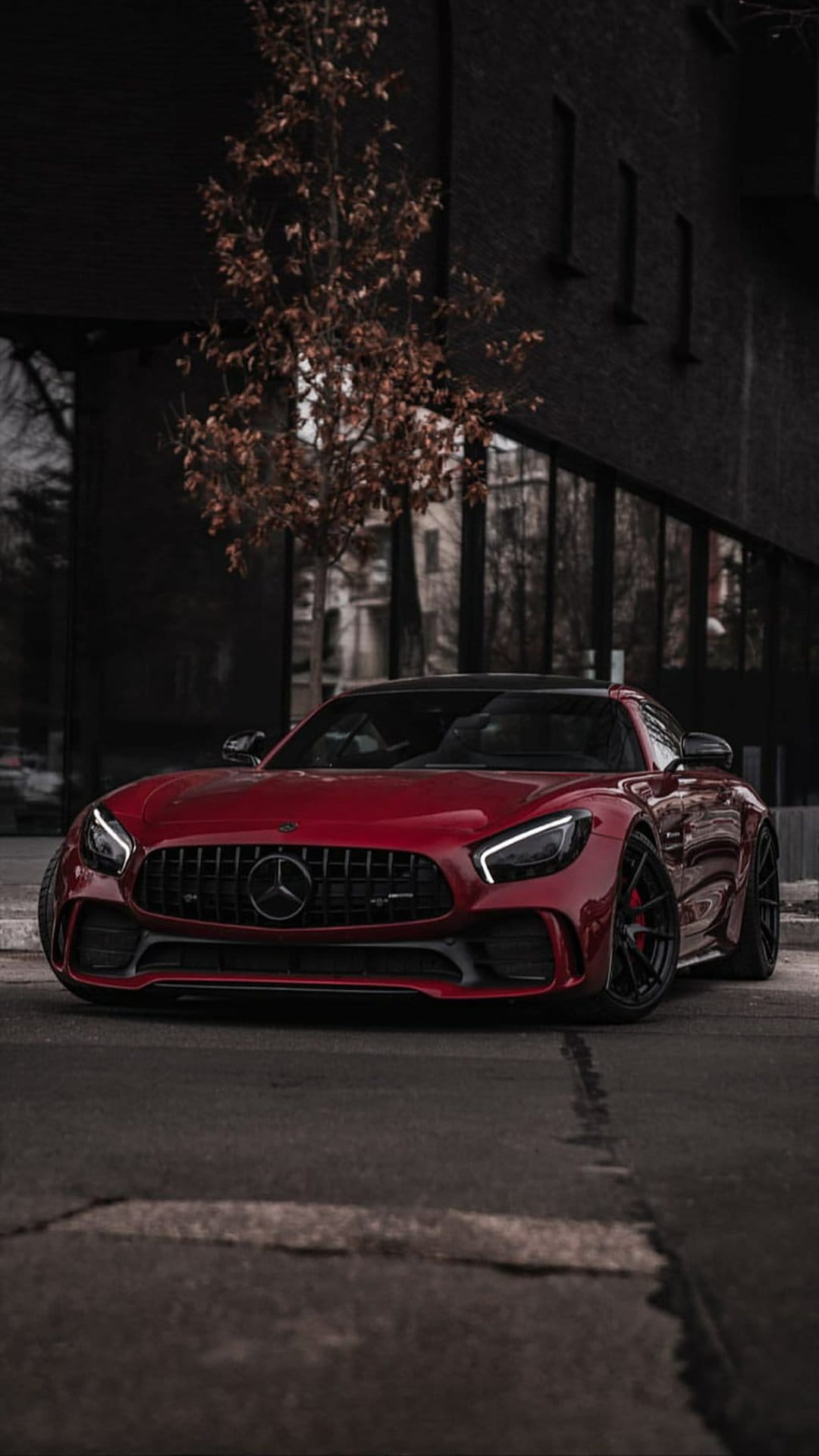 Red Mercedes-AMG GT sportscar parked before a dark glass building with an autumn tree in the background.