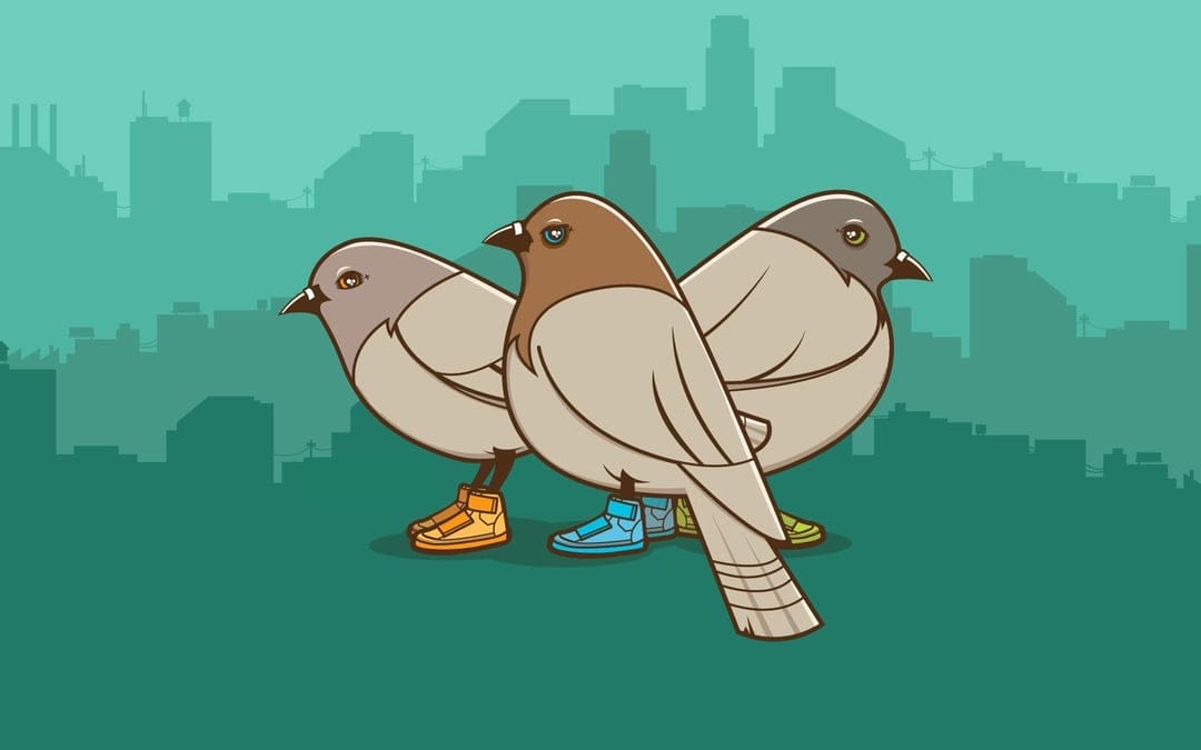 Three stylized pigeons wearing colorful sneakers stand in a row against a muted teal city skyline silhouette.