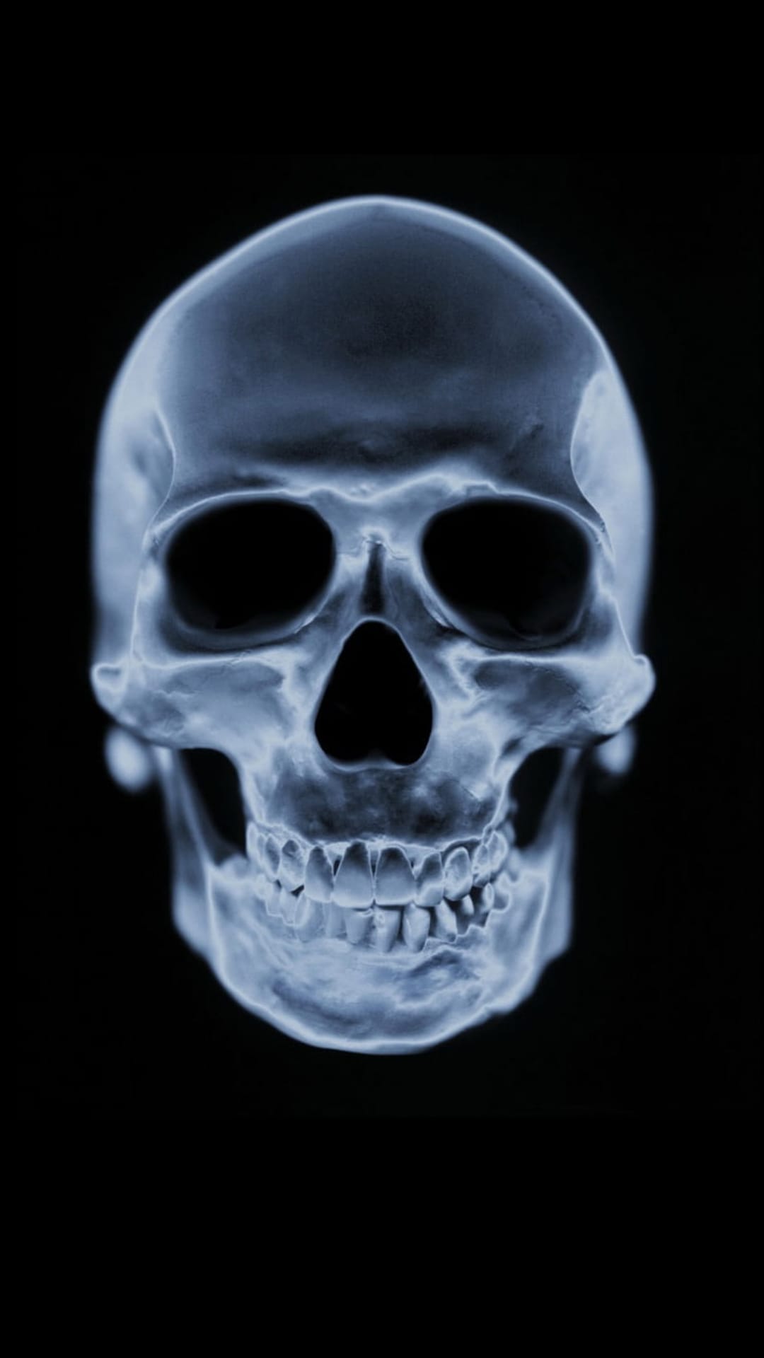 Translucent human skull in electric blue x-ray light showing cranial bones against a black background.