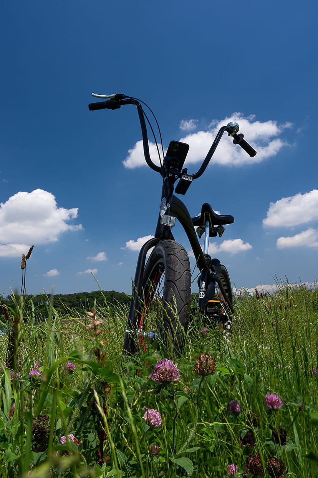 Black bicycle stands in a green field of white clover flowers under a bright blue sky with fluffy clouds.