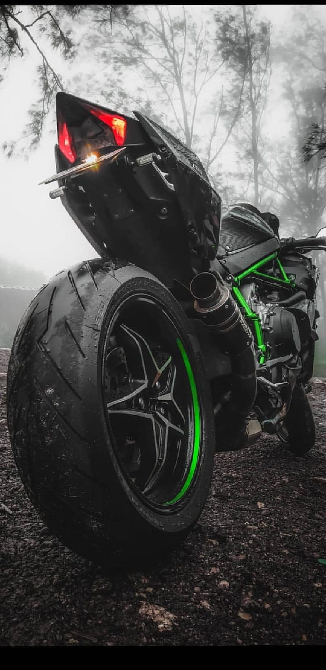 Kawasaki Ninja H2R rear view shows a green frame and red taillight on wet gravel against a misty forest.