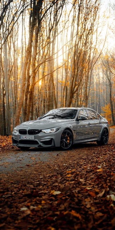 bmw m3, bmw, car, gray, side view, forest, autumn, mobile wallpaper, android wallpaper, iPhone wallpaper, phone wallpaper