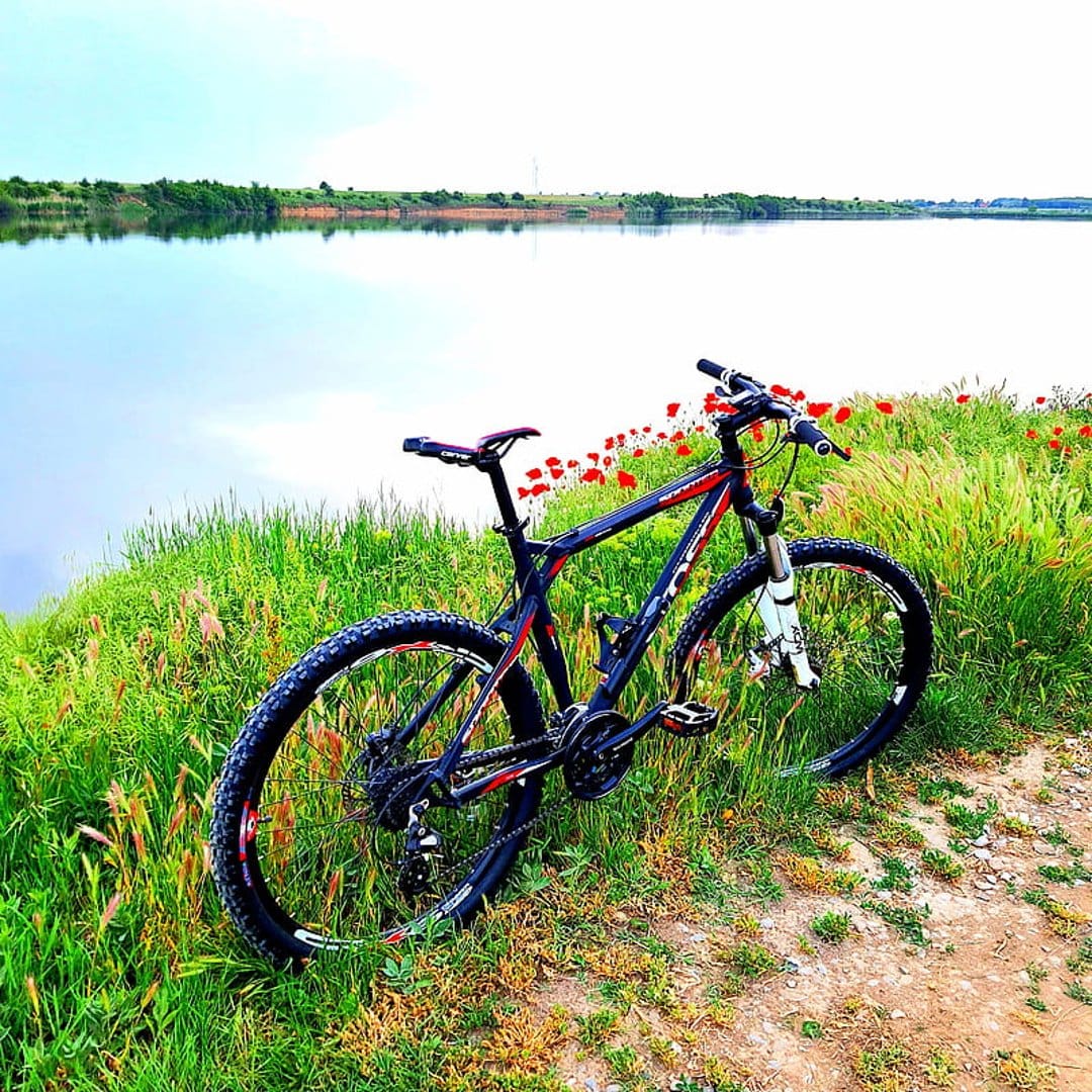 Red and black mountain bike parked in a field of scarlet poppies on a hillside overlooking a calm blue lake.