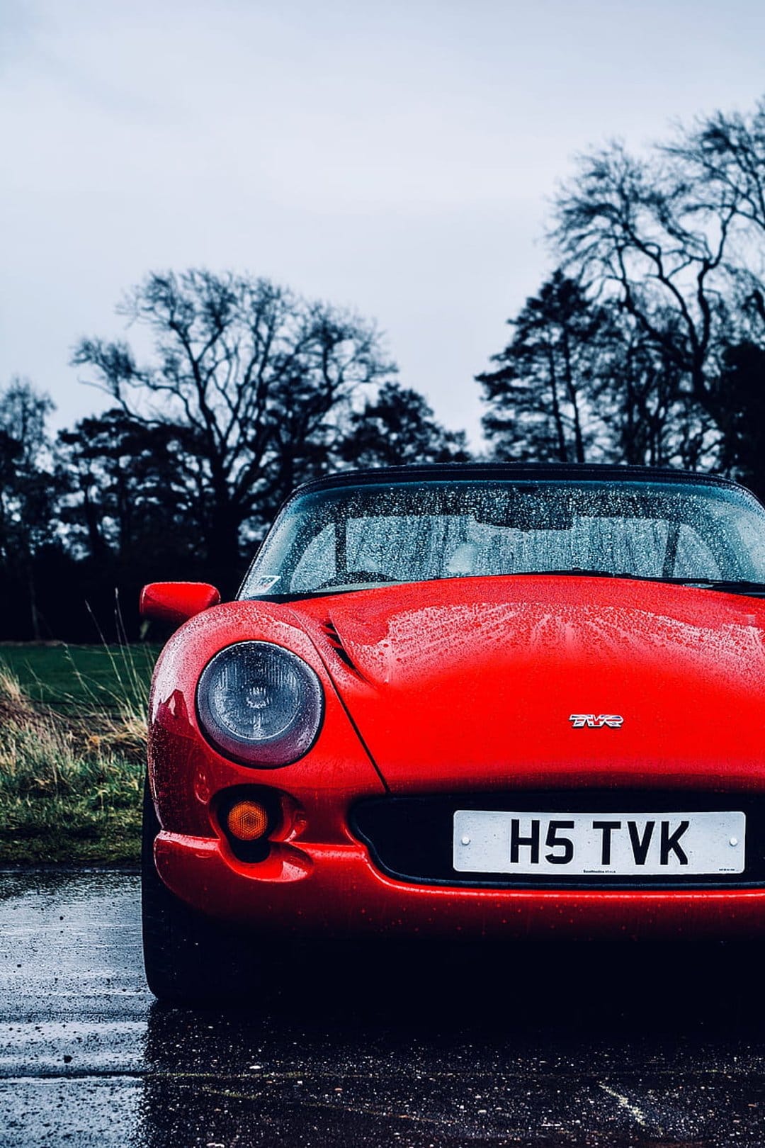 Red TVR sports car parked on a reflective wet road with a background of bare trees under an overcast gray sky.