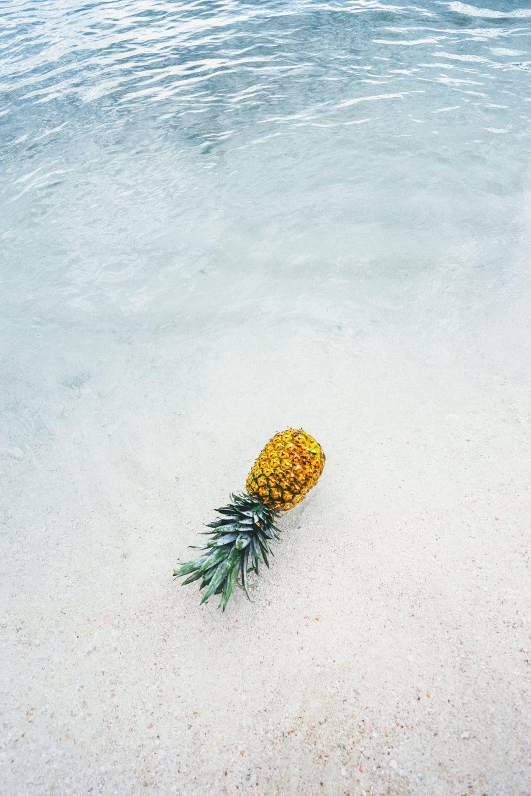 Pineapple resting in shallow turquoise ocean water on a sandy beach as gentle waves wash over the fruit.