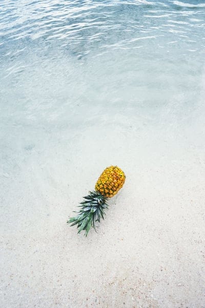 pineapple,phone wallpaper,dessert,nature,food,appetizer,fruit,juice,beach,ocean,sea,white,cute wallpaper,wallpaper for girls,iphone wallpaper