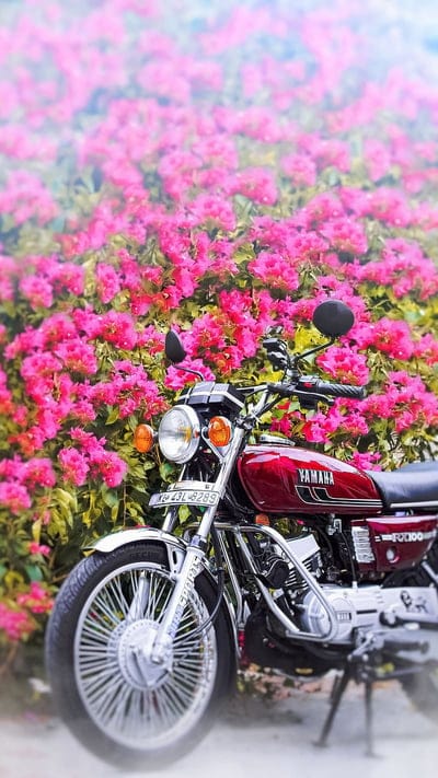 Rx100, Flowers Background, bike, yamaha, mobile wallpaper, android wallpaper, iPhone wallpaper, phone wallpaper