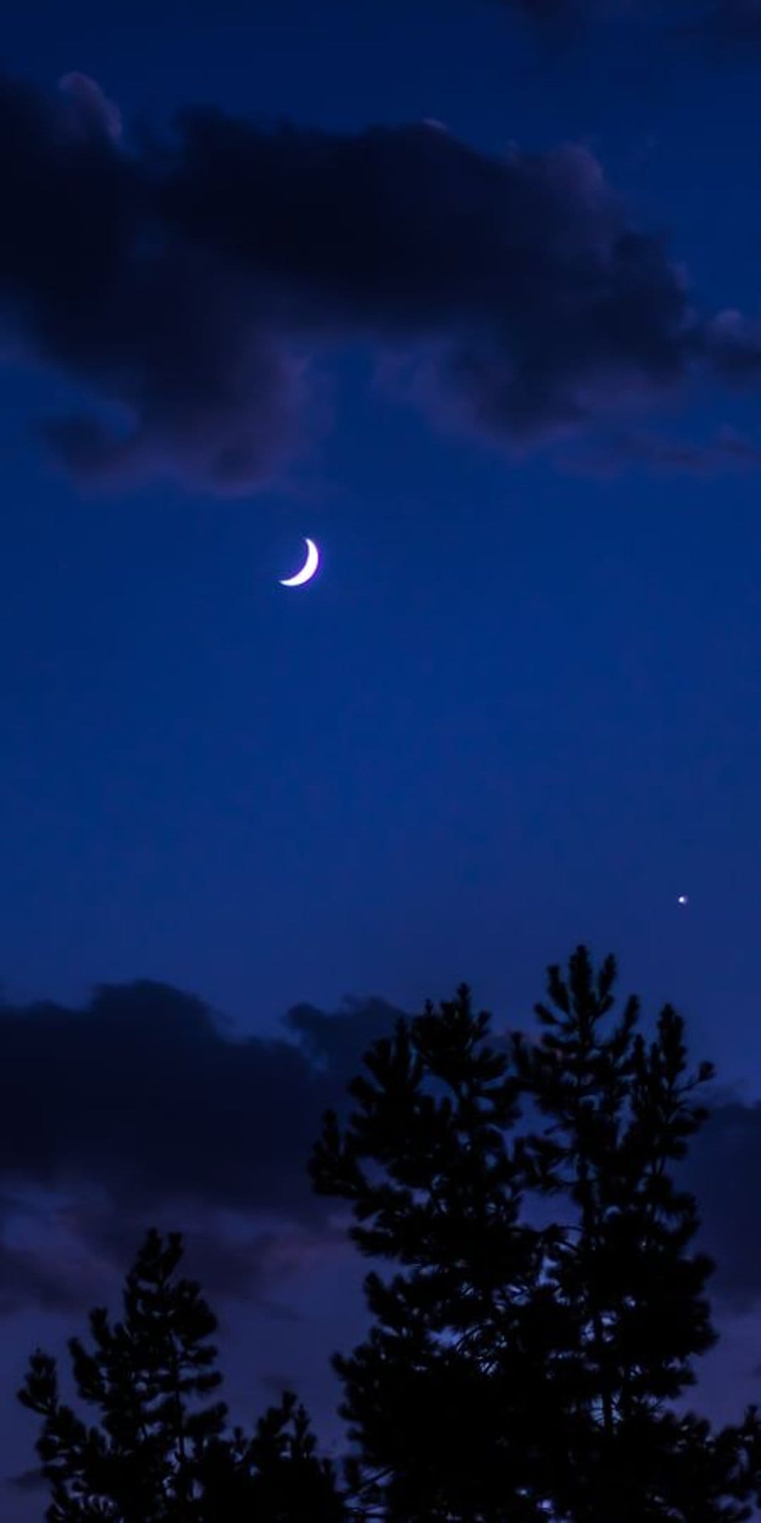 Crescent moon and a single bright star hang above dark pine tree silhouettes against a deep blue twilight sky.