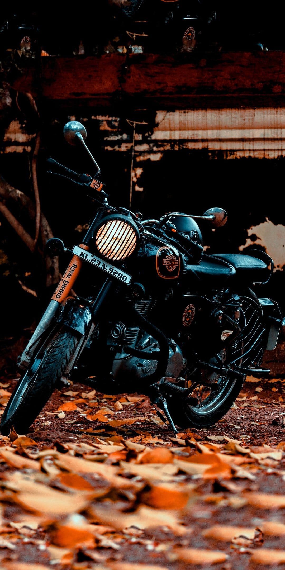 Royal Enfield motorcycle with a round headlight parked on a dense carpet of orange autumn leaves in a rustic setting.