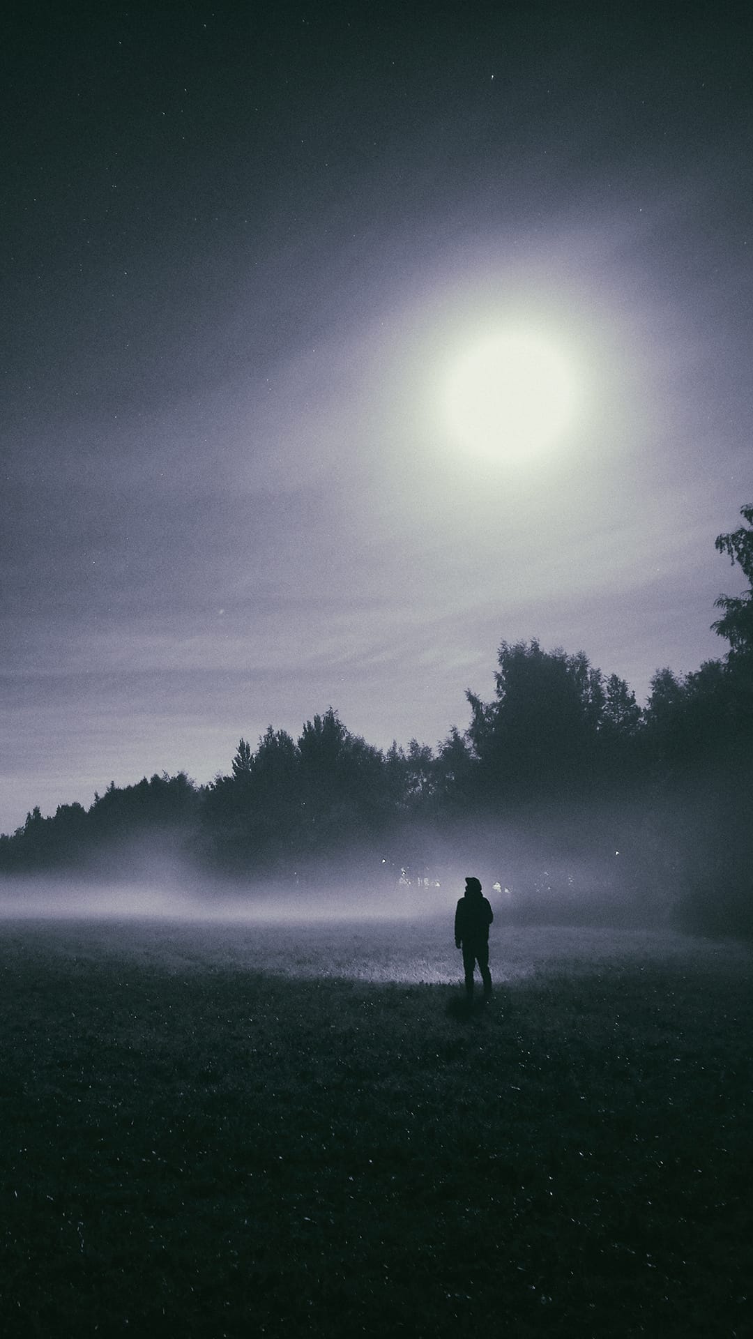 Lone person standing in a misty meadow under a bright lunar glow with a dark treeline in the distant background.