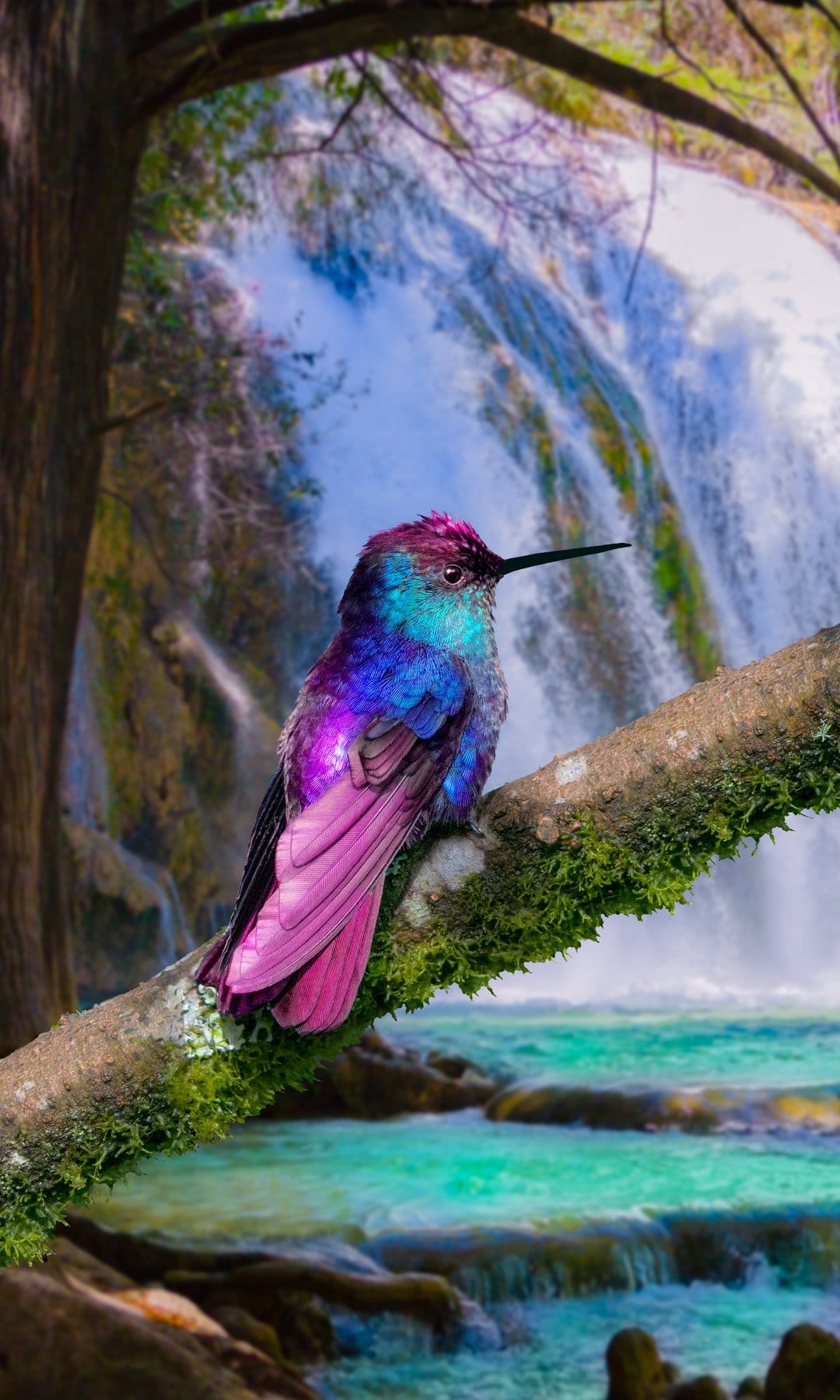 Violet hummingbird on a mossy branch rests before a rushing turquoise waterfall and lush tropical greenery.