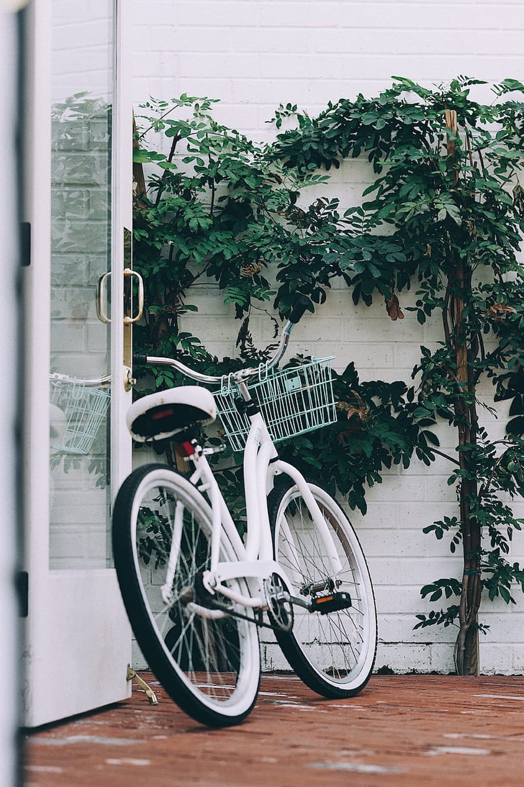 White bicycle with a mint green basket leans against a white brick wall overgrown with lush green ivy vines.