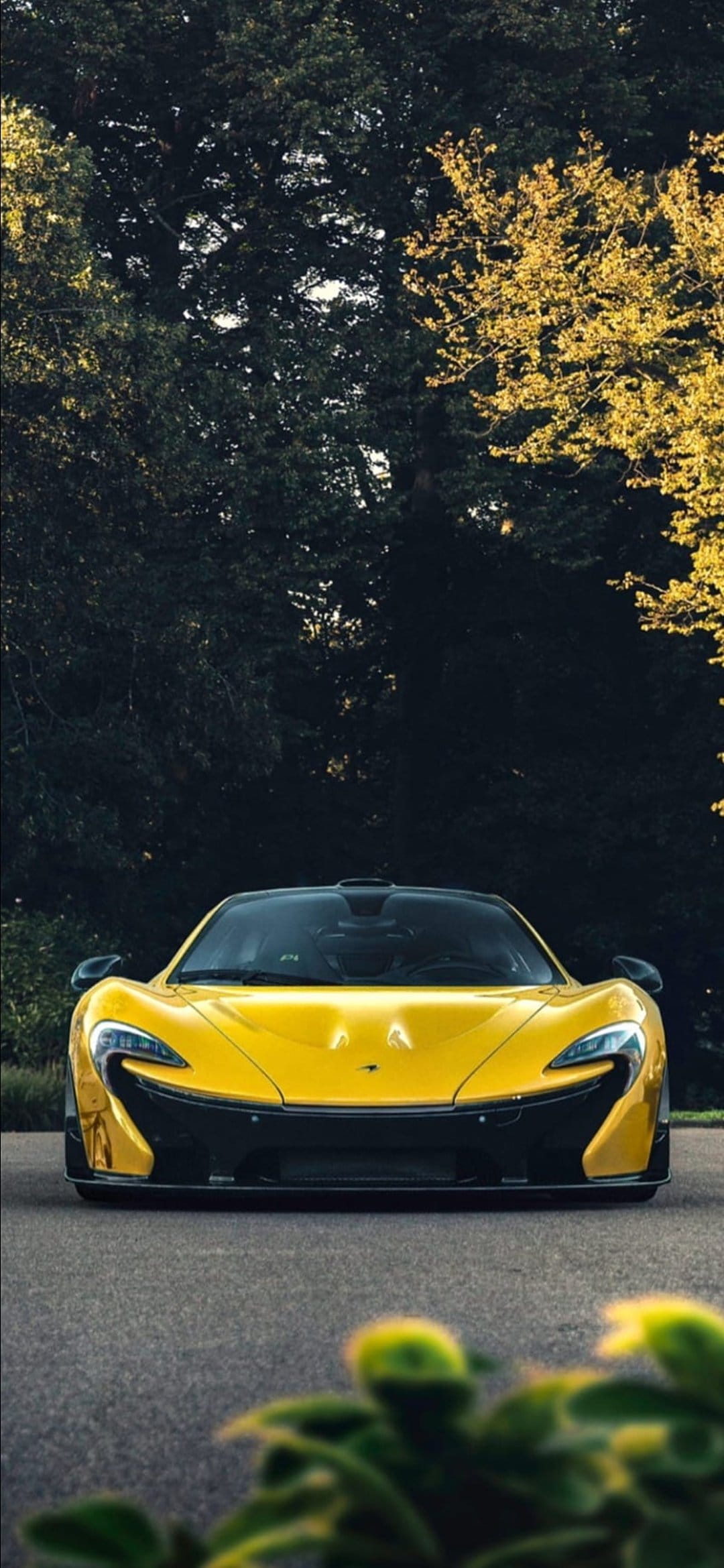 Yellow McLaren P1 parked on an asphalt road surrounded by green trees and blurred leaves in the foreground.