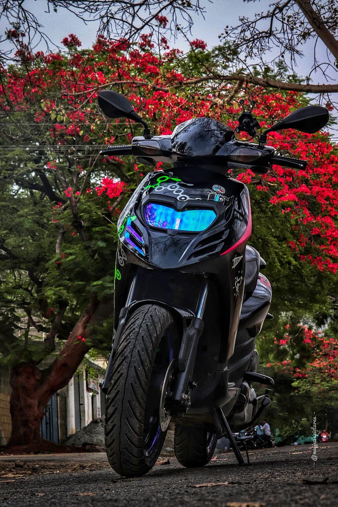 Black scooter with blue glowing headlights parked under a tree filled with bright red flowers outdoors.