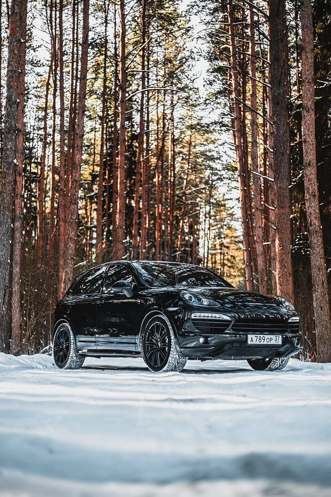 Porsche Cayenne SUV parked on a snowy forest floor with sun rays beaming through tall, slender pine trees.