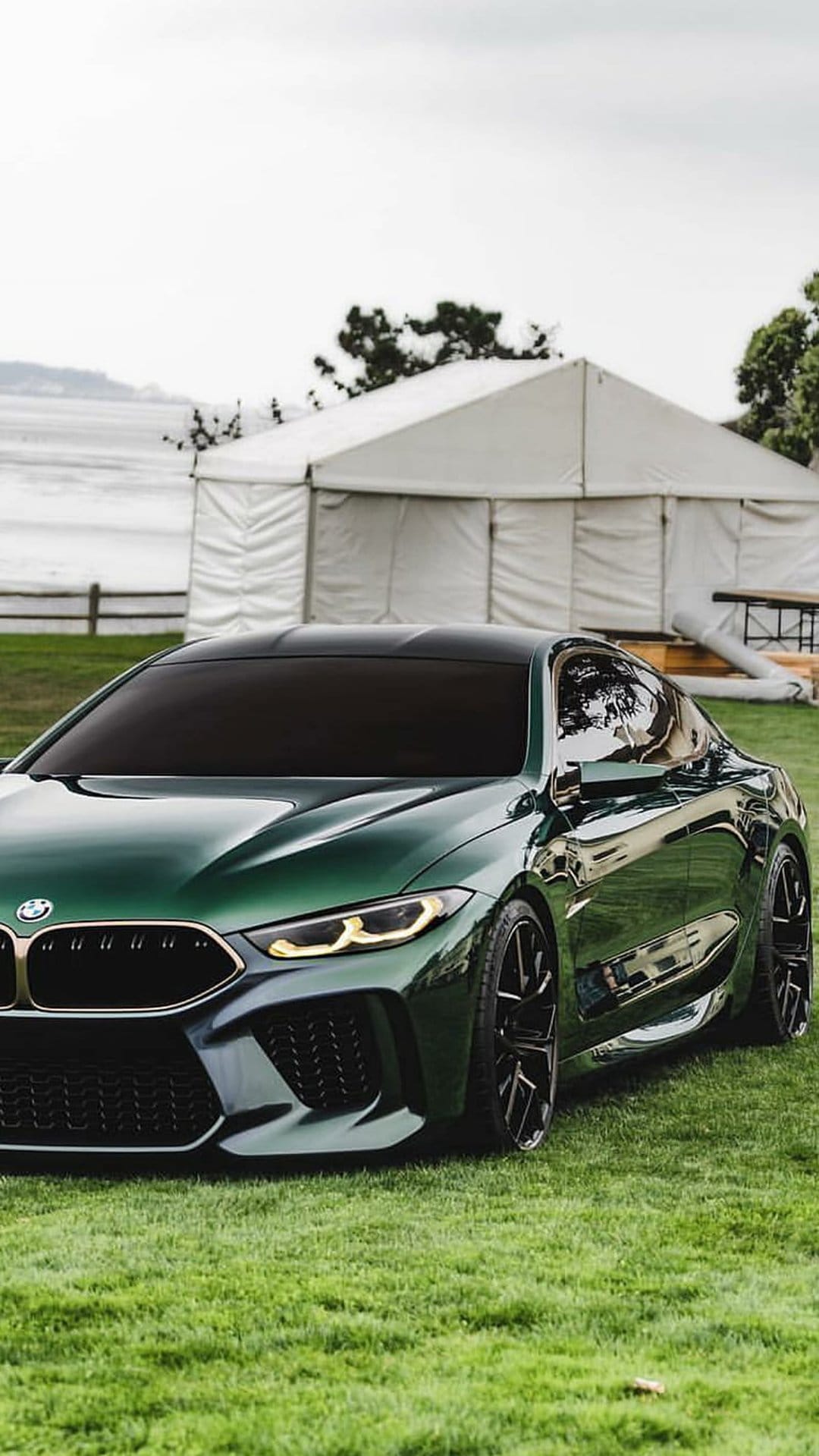 BMW M8 Coupe in emerald green parked on a lush lawn with a glossy finish reflecting the outdoor environment.