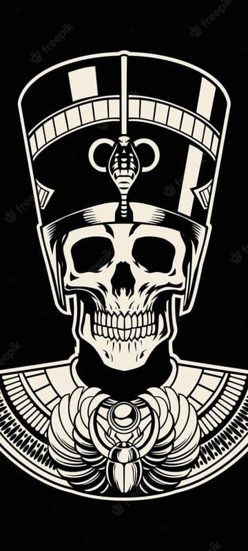 skull