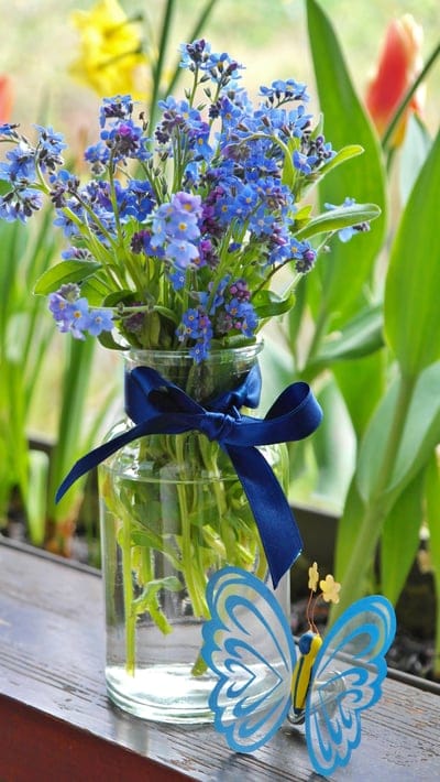 Forget-me-not flowers in a glass vase with a blue ribbon and a yellow butterfly on a wooden garden table.