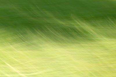 threads,lines,inscription,abstraction