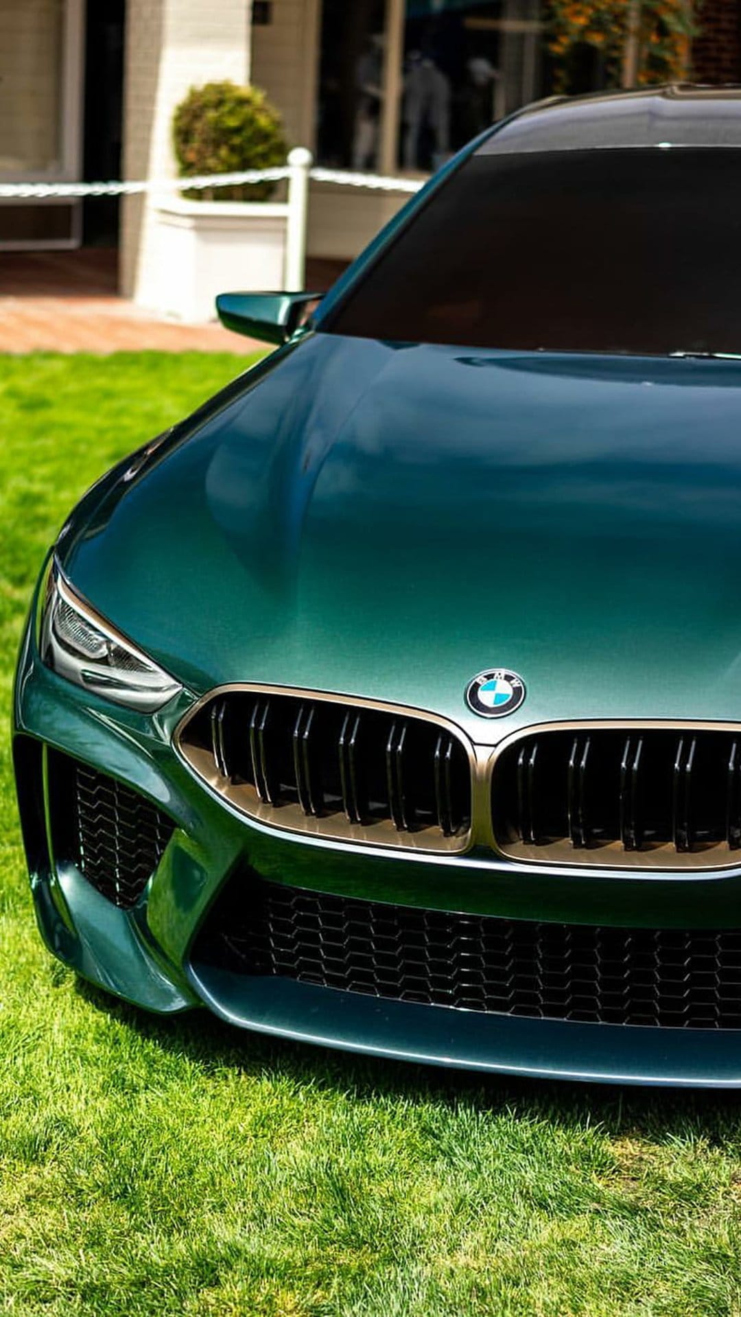 BMW M8 Gran Coupe in metallic green parked on grass, featuring a gold-trimmed grille and sharp LED headlights.