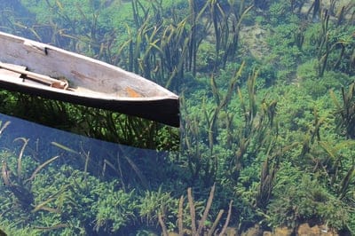 Rainforest wallpaper,rowboat,boating wallpaper,Rainforest background