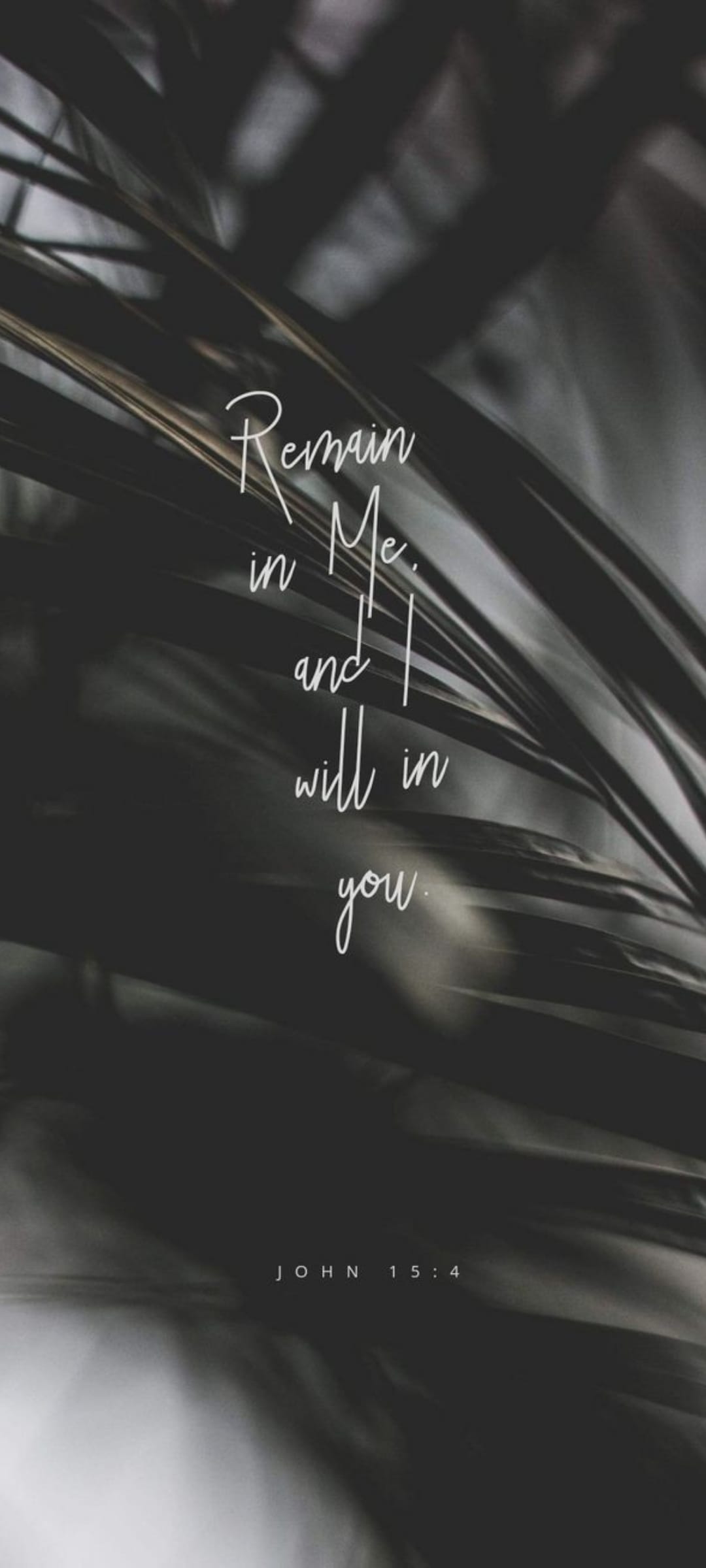John 15:4 Bible verse text overlaying deep green leaves in a low-light forest setting with a moody atmosphere.