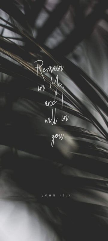 quotes