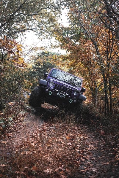 jeep wrangler, jeep, car, suv, purple, off road, mobile wallpaper, android wallpaper, iPhone wallpaper, phone wallpaper