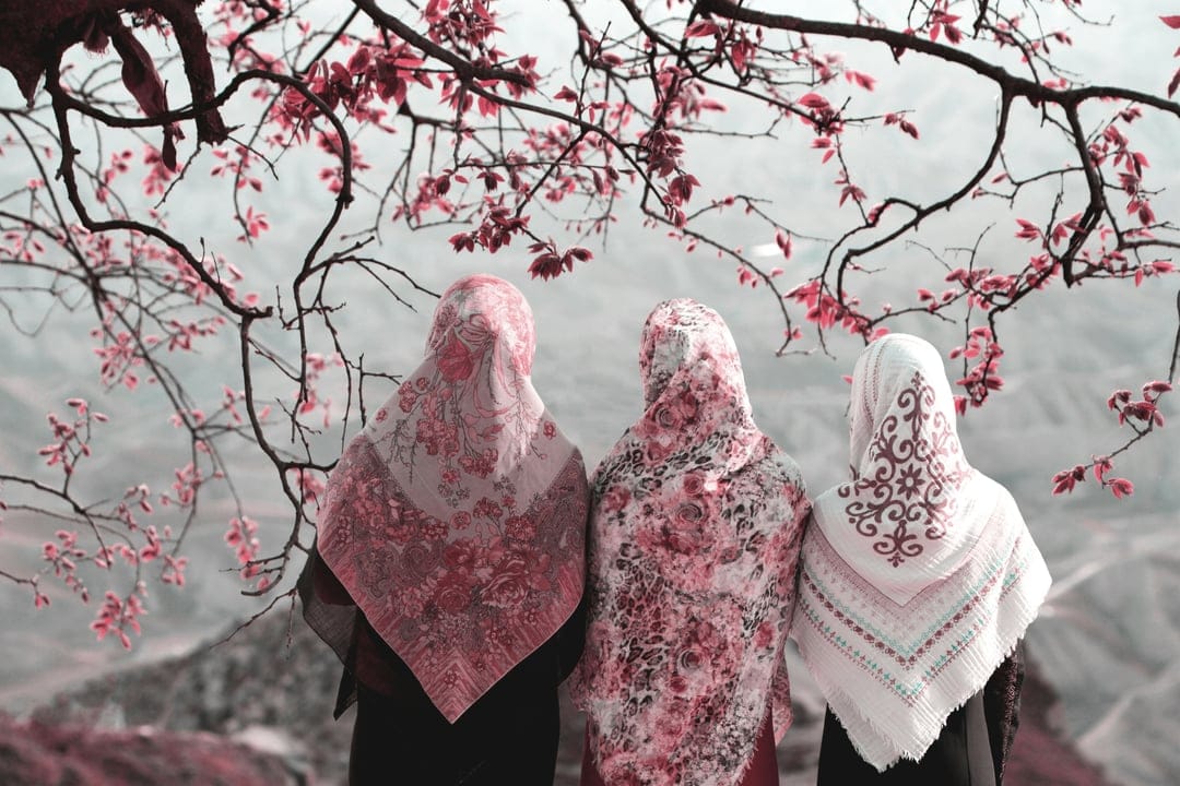 Three women in hijabs stand before a blooming cherry blossom tree with pink petals and soft spring lighting.