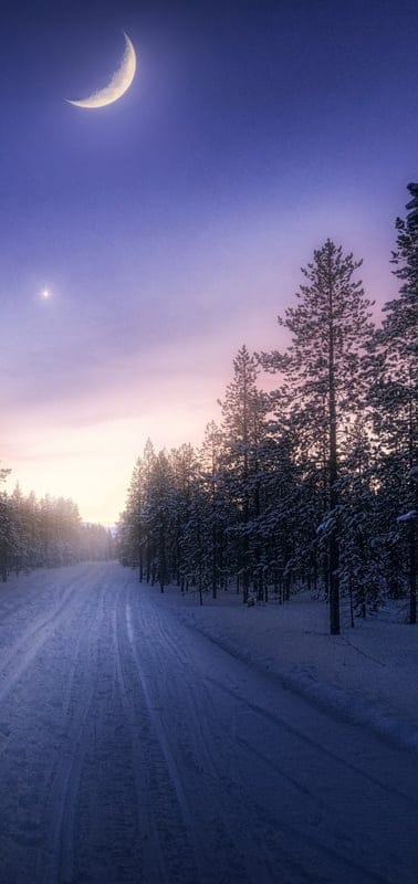 Winter, forest, snow, night, crescent moon, serene, peaceful, tranquil, beautiful, outdoor, wilderness, trees, cold, magical, mysterious, quiet, untouched, frosty, sky, road
