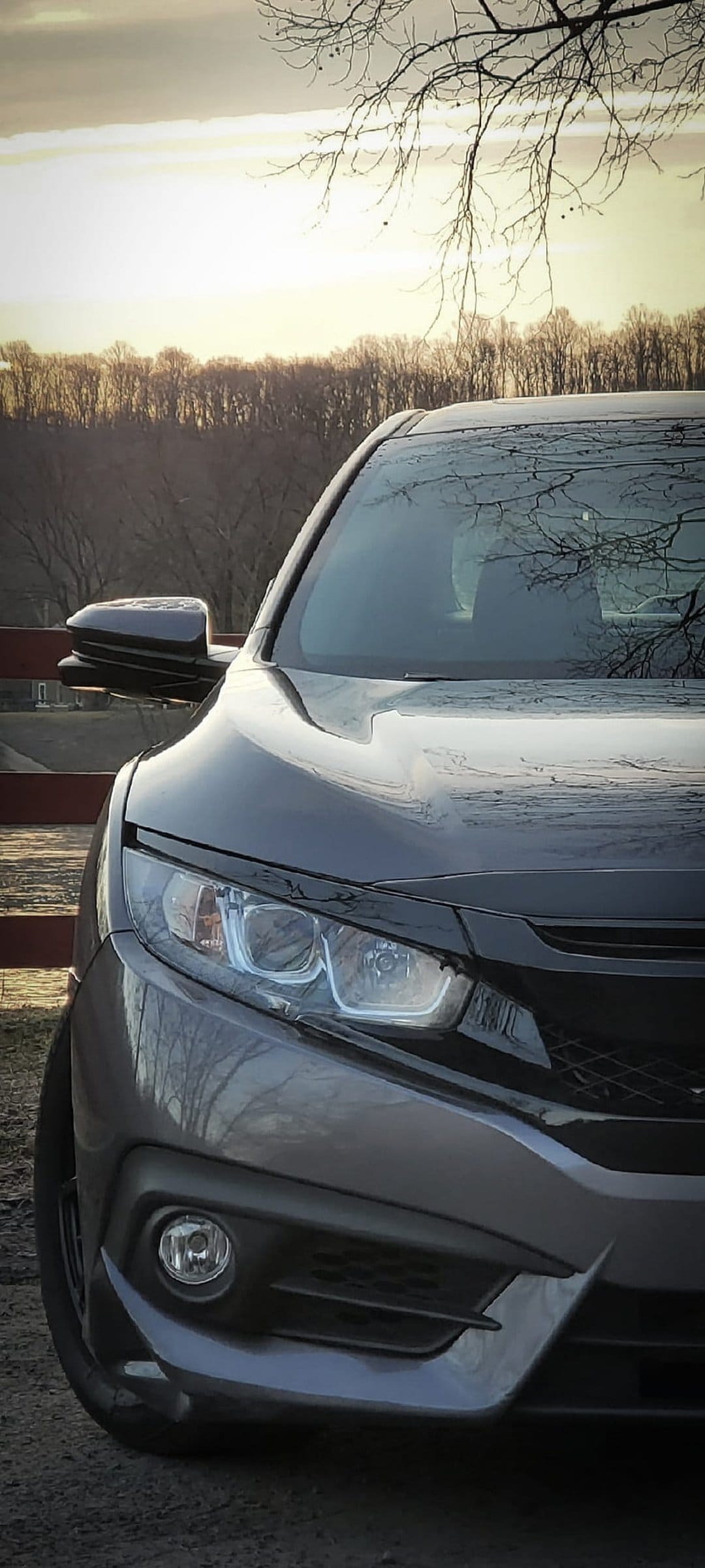 Car headlight and side mirror reflecting bare tree branches against a soft, hazy sunset winter sky.
