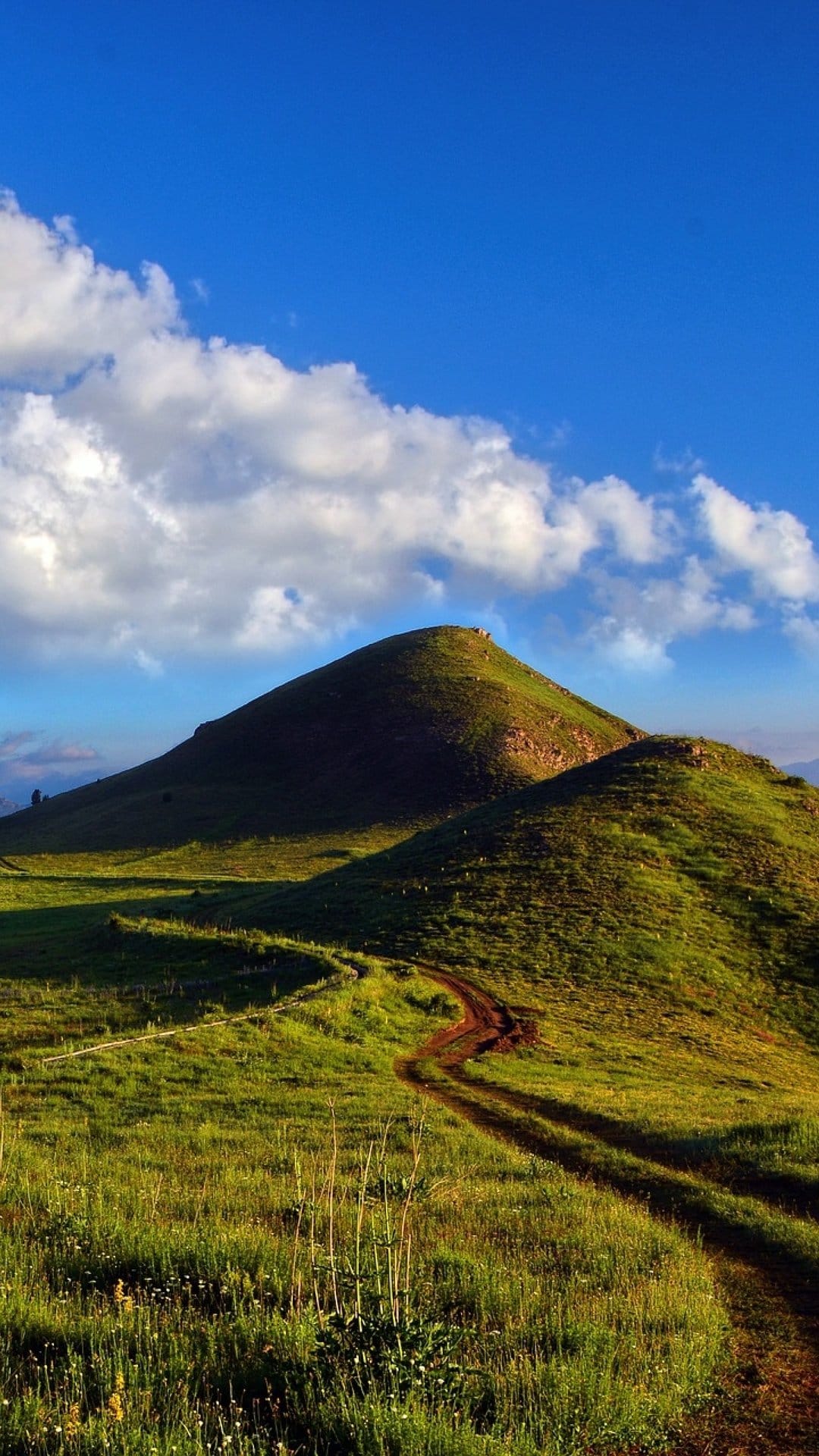 Narrow dirt path winds up a vibrant green grassy hill under a bright blue sky with scattered white clouds.