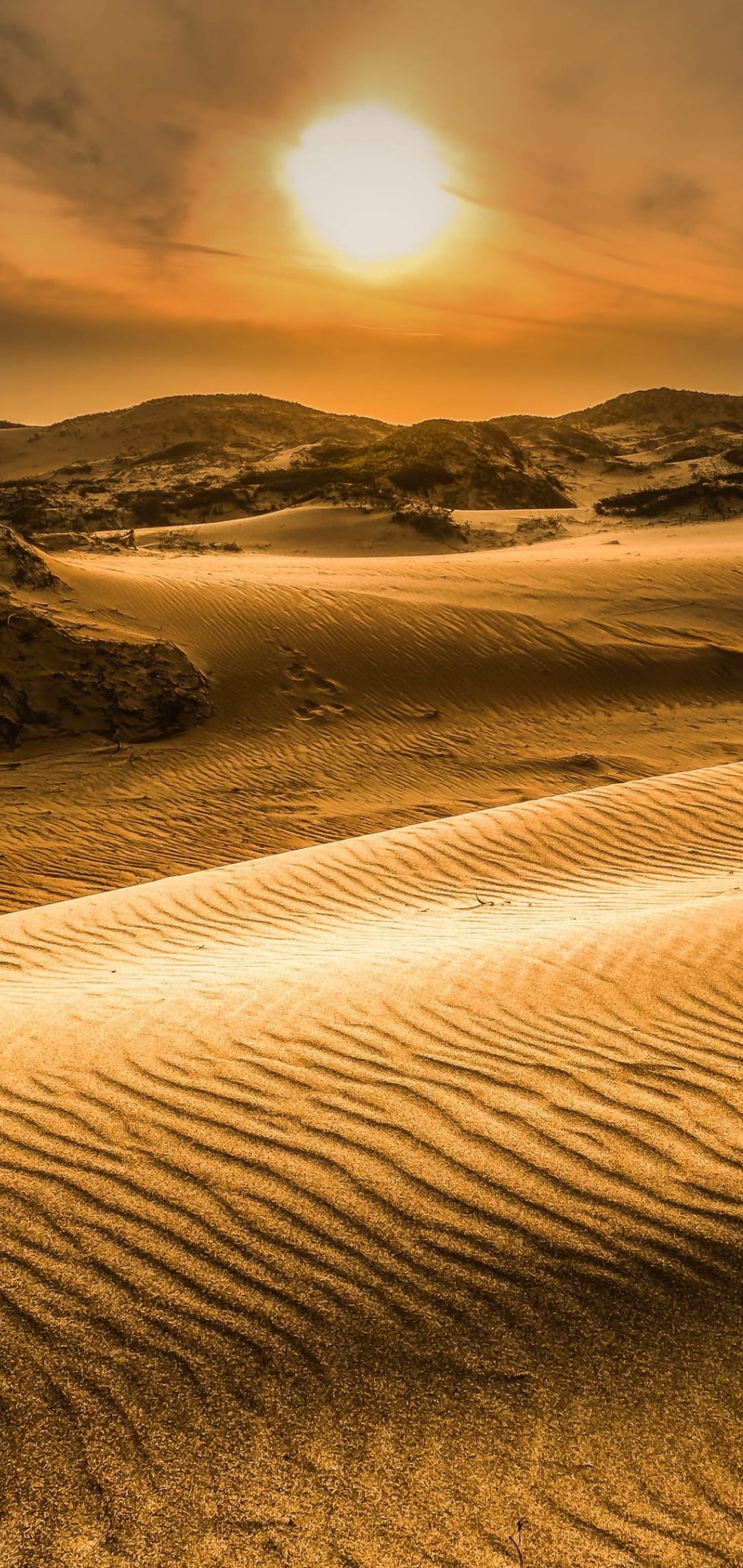 Rolling sand dunes feature rippled patterns and deep shadows under a low sun in a vast, arid desert landscape.