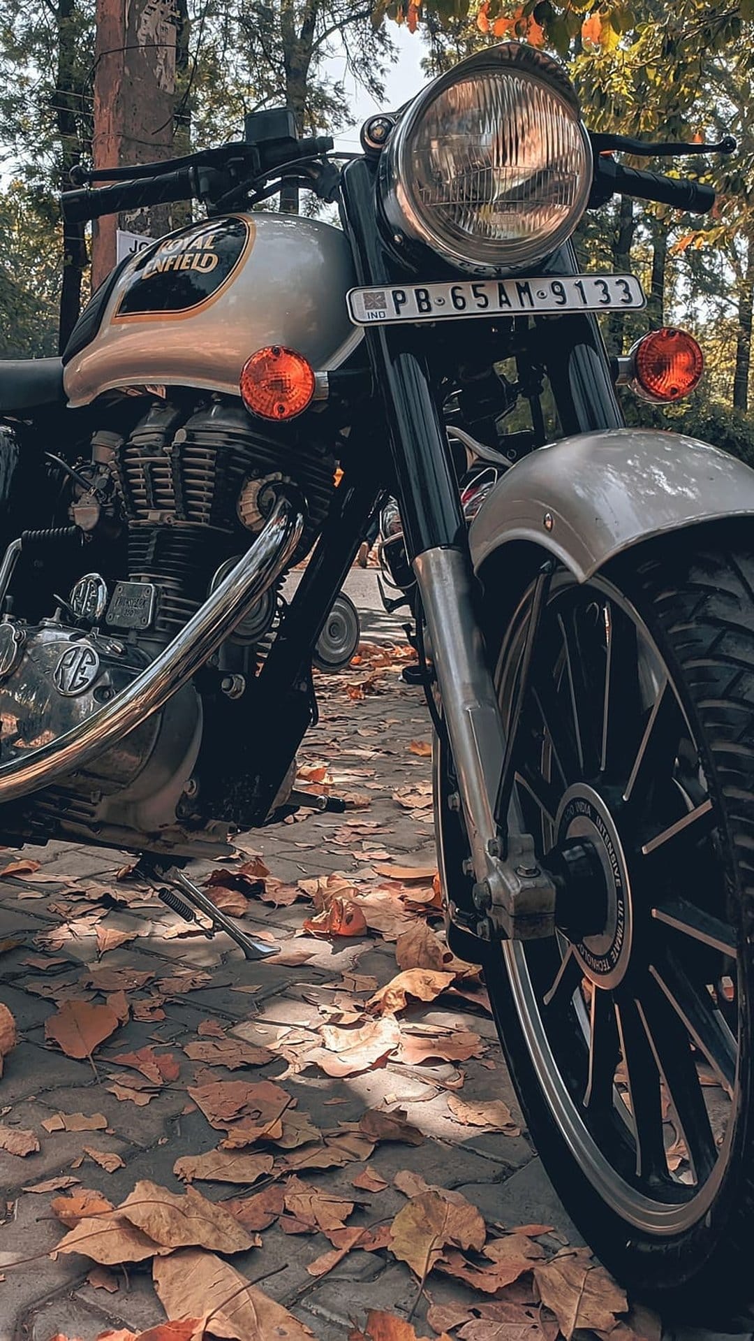 Silver Royal Enfield motorcycle with a round headlight parked on a sidewalk covered in dry autumn leaves.